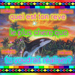 quelle est votre reve a vous ?